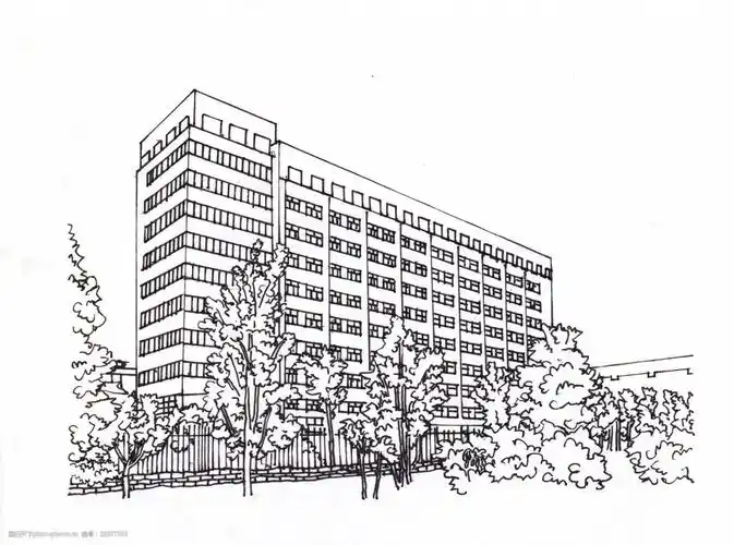 教学楼植物场景图黑白纯线条矢量高楼