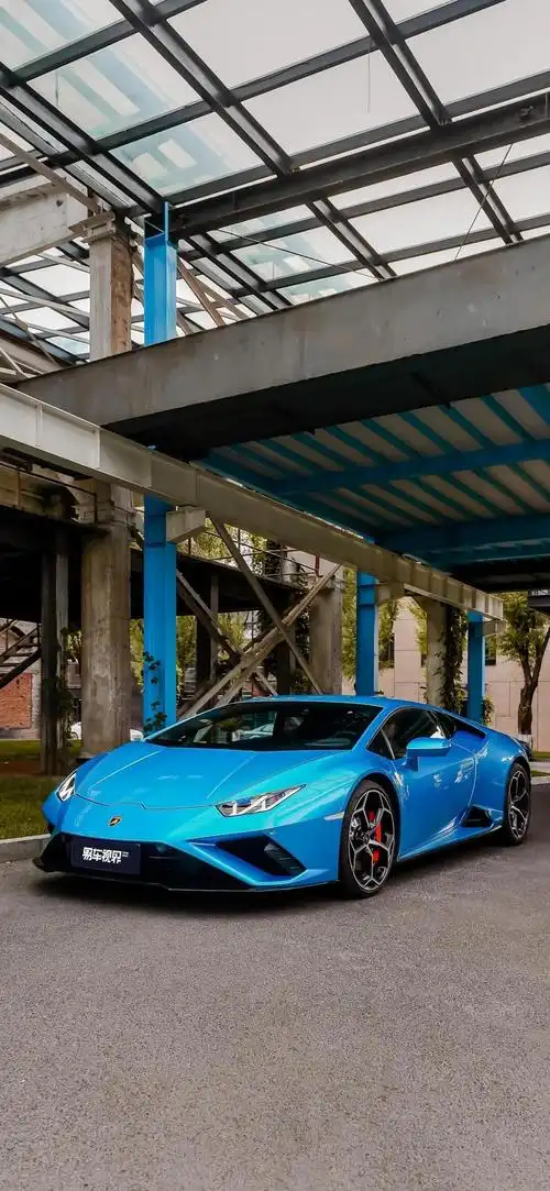 十二星座开什么车|只有兰博基尼能入天秤眼