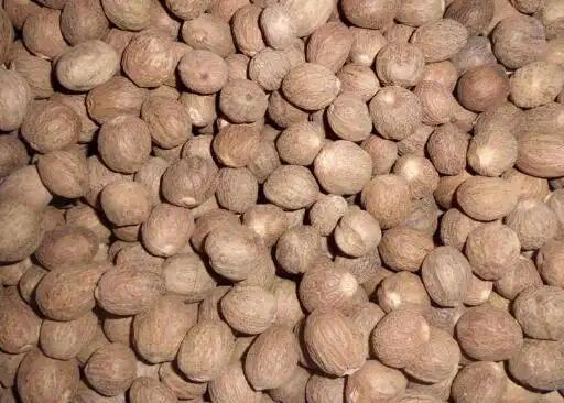 肉蔻的功效与作用