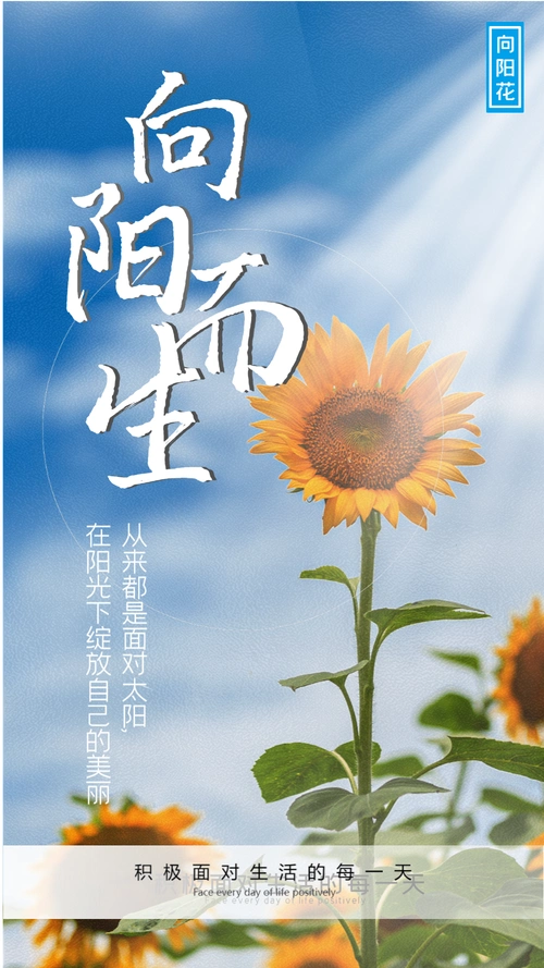 向日葵积极心态摄影图海报