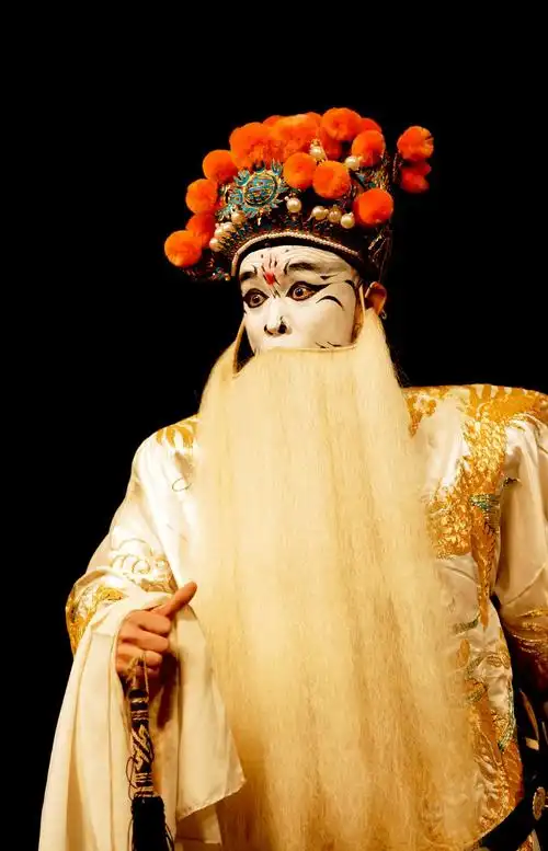 校庆京剧演出--司马懿