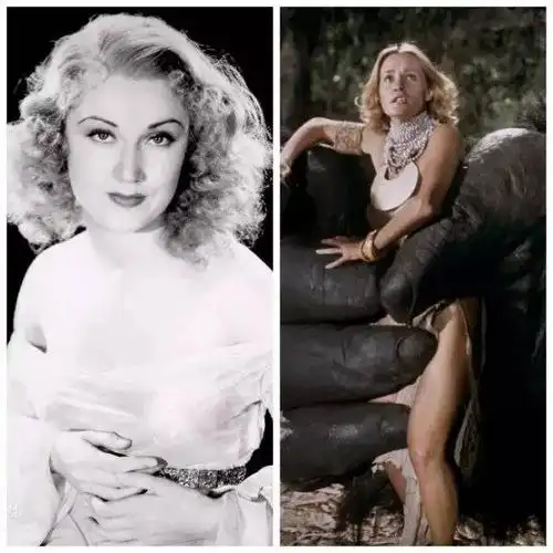 尤其是这一版本中金刚的"女神"戴安,人设比起1933年菲伊·雷饰演的安