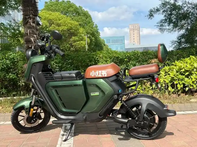 改装小牛电动车