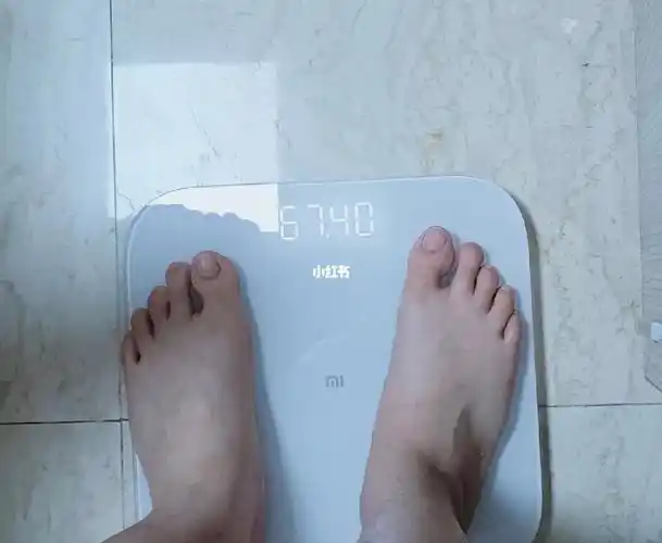 135斤大体重减肥第三天