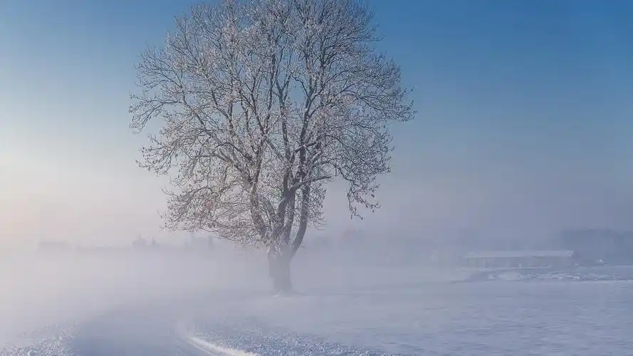 唯美好看的自然景色,高清图片,电脑桌面-壁纸族