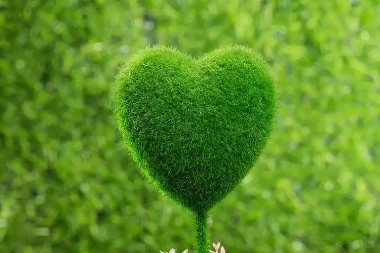 信息  新媒体 授权范围: 网络媒体,移动端媒体,自媒体配图(微博,微信