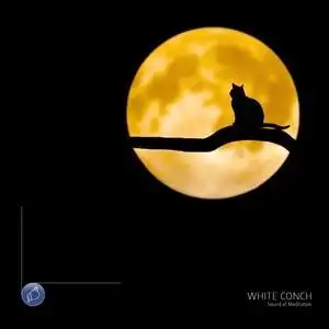 填词的纯音乐,请您欣赏[展开]评论共2条评论说说你的看法吧剩余300字