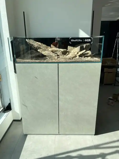 我的溢流原生缸开缸记录六