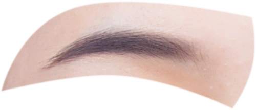 证件照素材五官眉毛素材五官素材1眉毛女