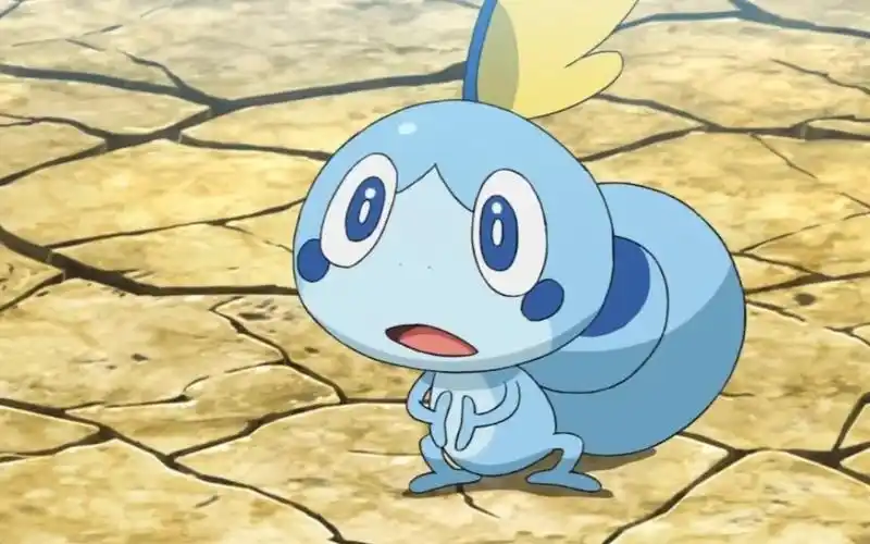 泪眼蜥太可爱了