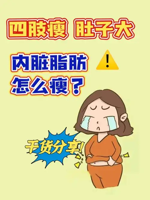 女生也会有啤酒肚72怎么减掉内脏脂肪