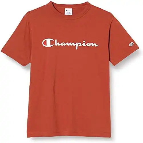 champion t恤 短袖 *棉 经典 字母商标印花 短袖t恤 c3-p302 男士