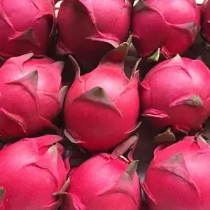 新鲜 广西金都一号蜜宝红心火龙果10整箱批发 红绣球当季时令水果