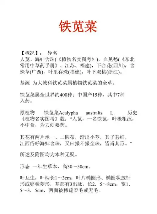 铁苋菜的功效与作用(铁苋菜的功效与作用及图片)