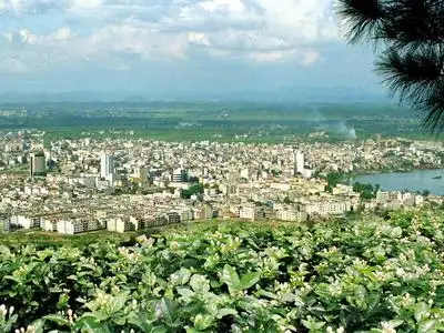 横县:茉莉花之乡全力打造广西强县