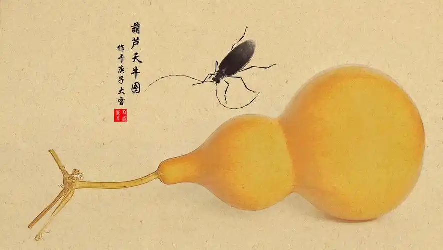 第26天61葫芦天牛图手机工笔画班