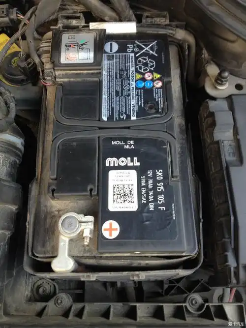 各位  你们看过   驴的电瓶观察孔吗 ?