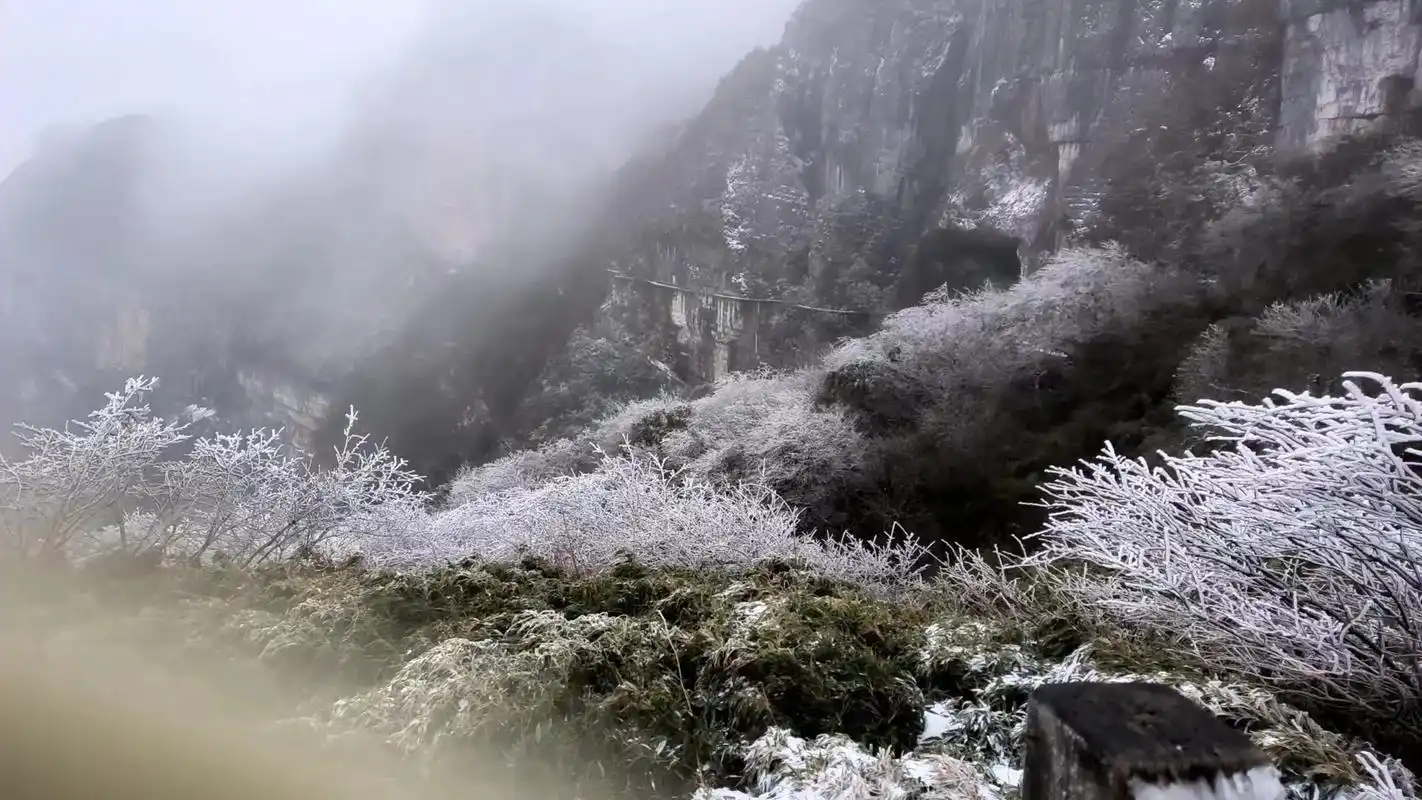 金佛山下雪了,好开心.#雪一落这里就美成了诗 #重庆 - 抖音