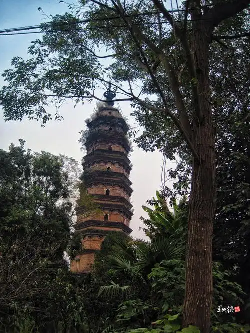 【小锋】江西的微笑(九江 景德镇 婺源 南昌)【多图】_婺源江湾景区