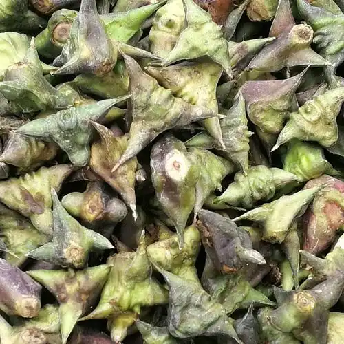 菱角洪湖野生四角现剁现发新鲜蔬菜粉糯2斤菱角