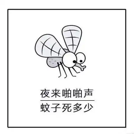 表情包:夕阳无限好,就怕蚊子咬,蚊子表情包