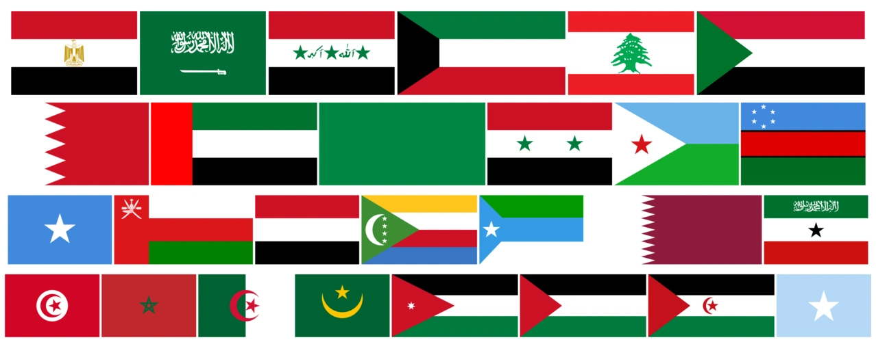 2002年阿拉伯国家国旗的含义是什么?