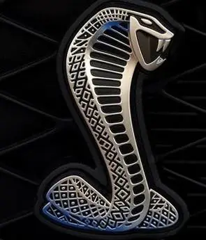 第一个是野马的标志 福特野马原厂没有被改装的都是原本的