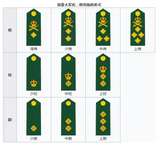 深度世界各国军衔制度看完此文秒懂