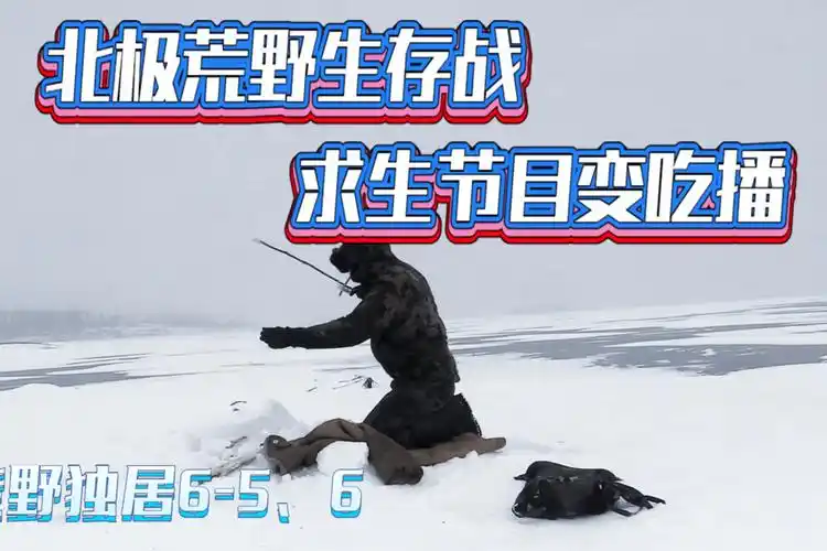 荒野独居656北极荒野生存挑战100天求生节目变吃播