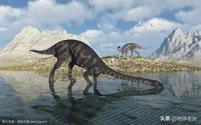 名称:巨椎龙( massospondylus)年代:三叠纪晚期地点:非洲(南非和