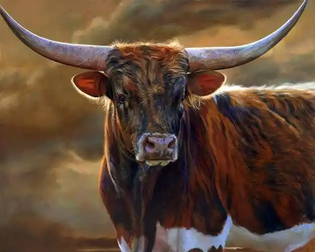 美国画家 teresa elliott -「牛」油画作品欣赏