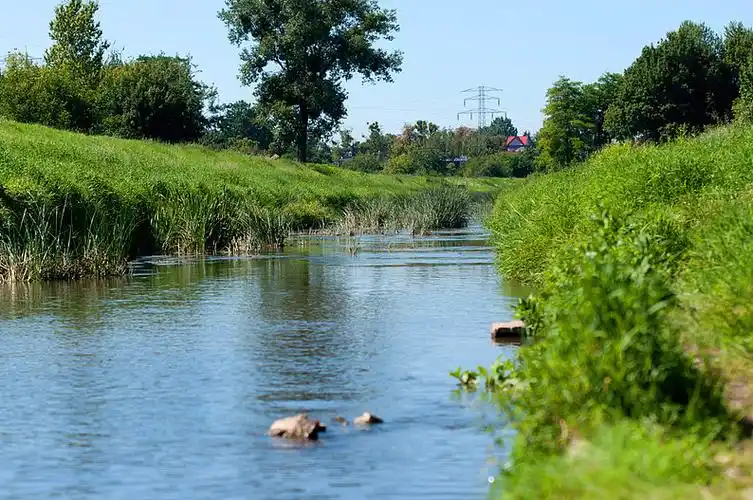 小河,乡村,夏天_高清图片_全景视觉
