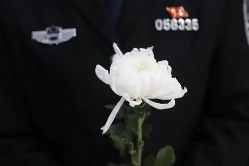 裂变_人人秀h5_rrx.cn