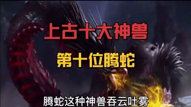 中国上古民间神话故事(134),上古神兽第十位—腾蛇