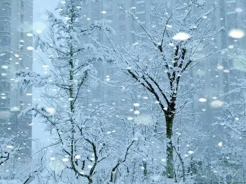 一首《爱的雪花飘满冬季》好听醉了!