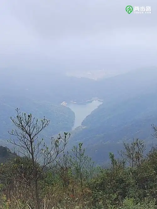 追一场花开,赴一场春约 | 从化通天蜡烛之"映山红"