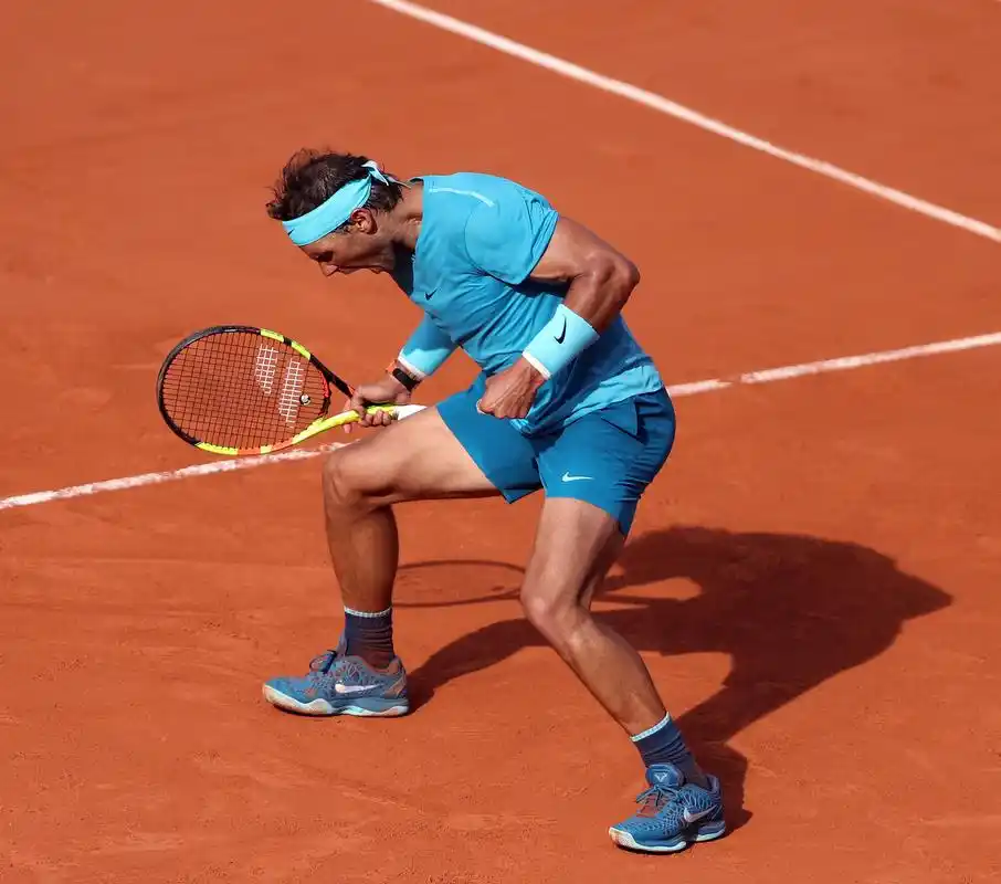 网球——法网:纳达尔晋级男单决赛(3)