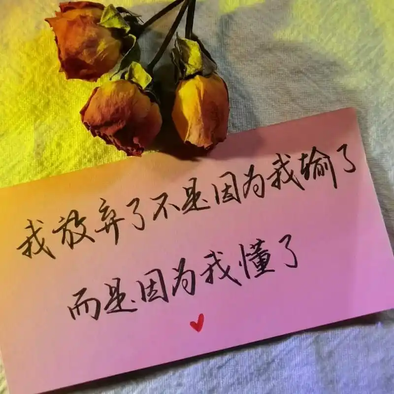 我放弃了,不是因为我输了,而是因为我懂了