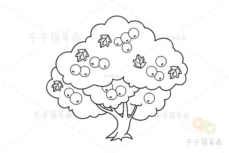 山楂树简笔画图片