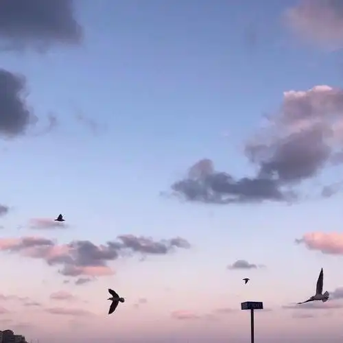 朋友圈封面背景太久没牵手