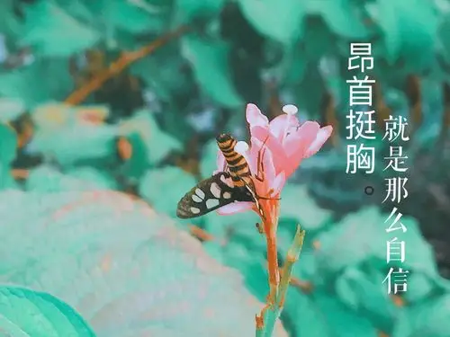 你想要自信心爆棚吗