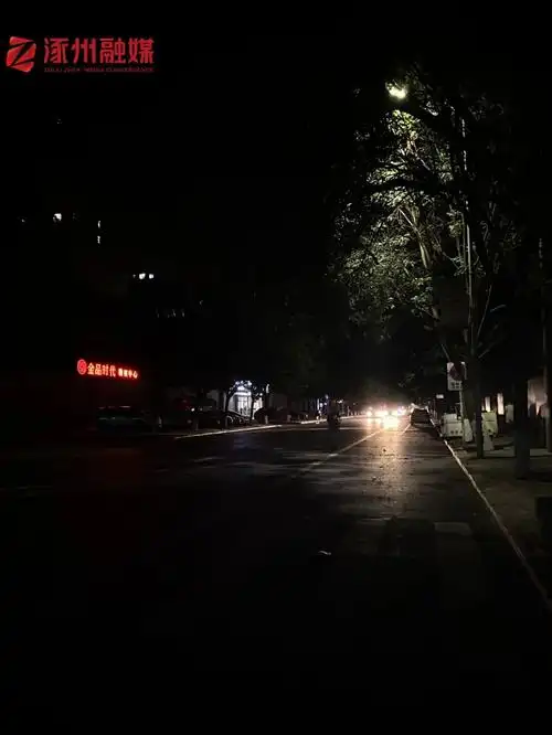 部门树交通要道夜晚漆黑一片涿州相关部门这里的树急需理发