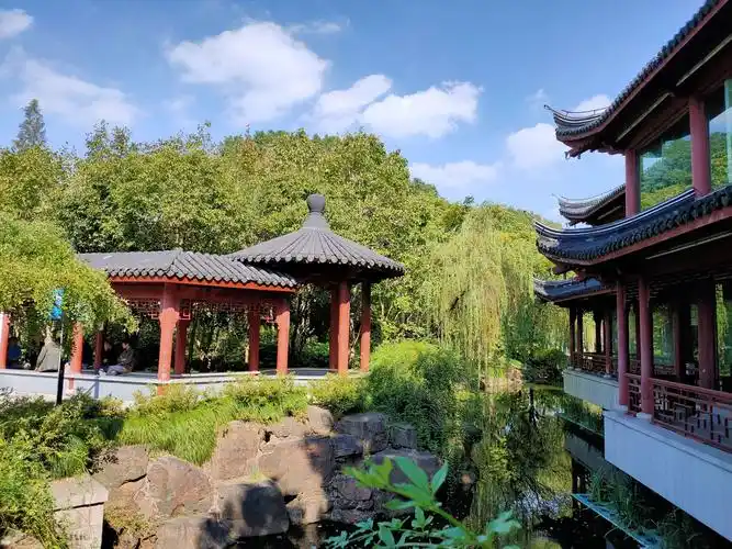 吾的2020一9(奉贤古华园)