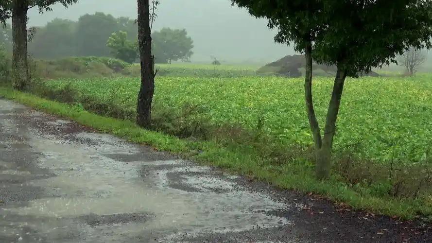 自然治愈乡村路上的小雨与雨声