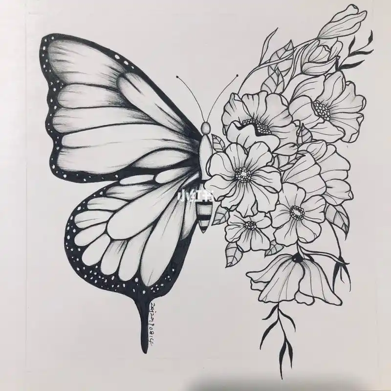 日常临摹蝴蝶和桔梗花步骤图