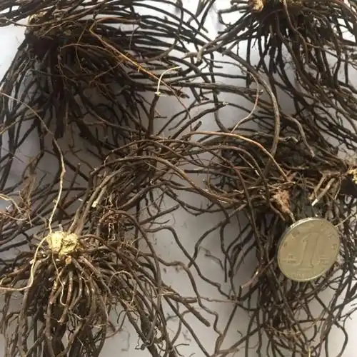 广西威灵仙粉灵仙500克包邮 老虎须铁扫帚-阿里巴巴