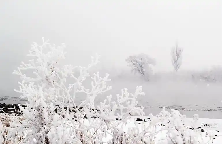 雪冬,冬雪,景色美