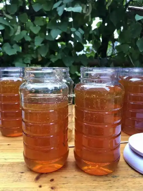 农家纯天然土蜂蜜,不掺杂,无添加