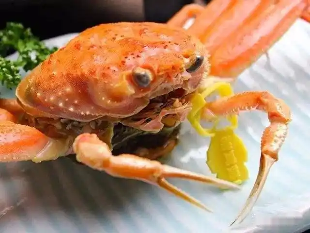 世界上"最贵"的螃蟹,一只12万