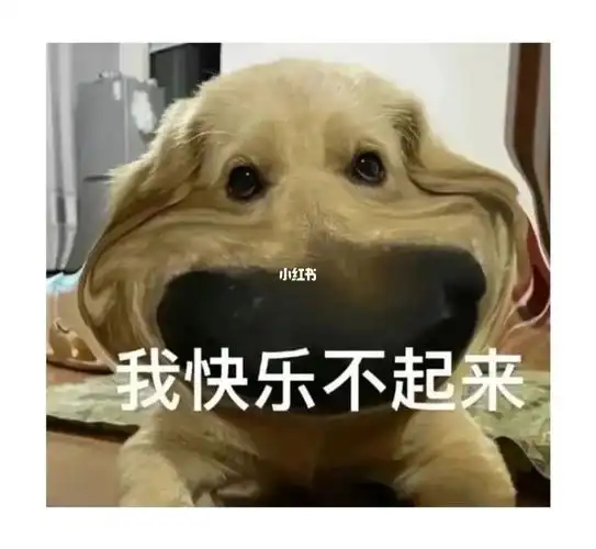 居家的快乐叭没了